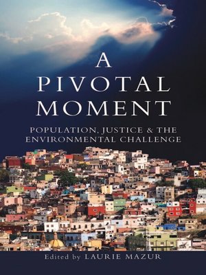 cover image of A Pivotal Moment